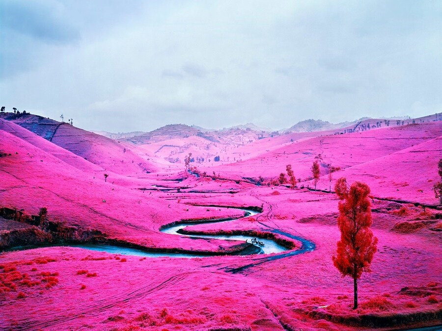 13. Richard Mosse, Platon, 2012