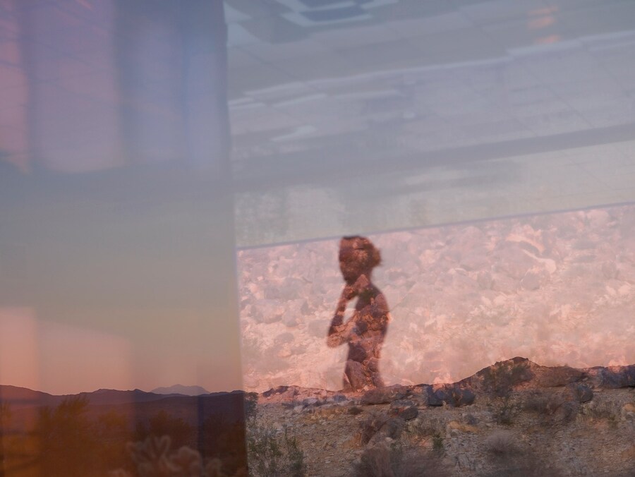 AD6046, 2013-14, Chromogenic Print, (c) Mona Kuhn,