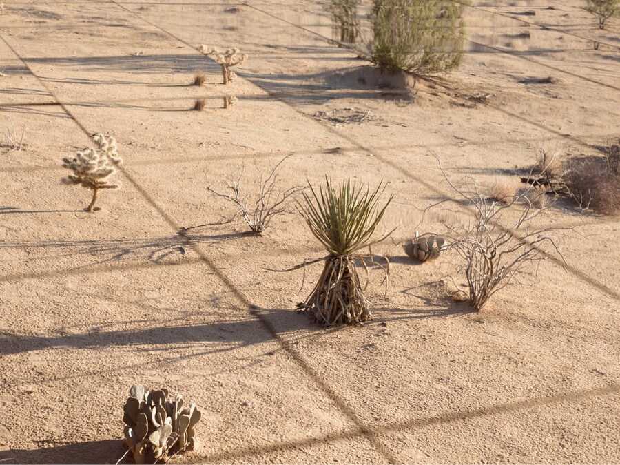 AD6901, 2014, Chromogenic Print, (c) Mona Kuhn, co