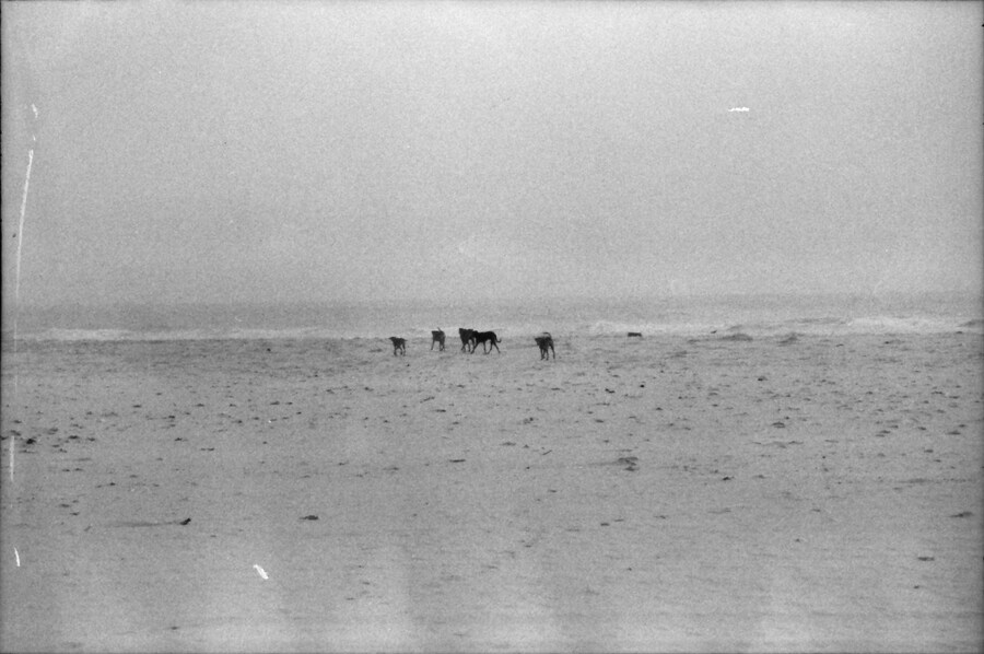 Senegal by Sonia D'Argenzio