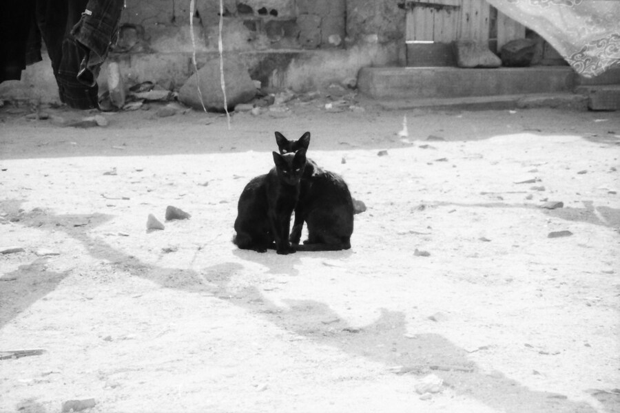 Senegal by Sonia D'Argenzio