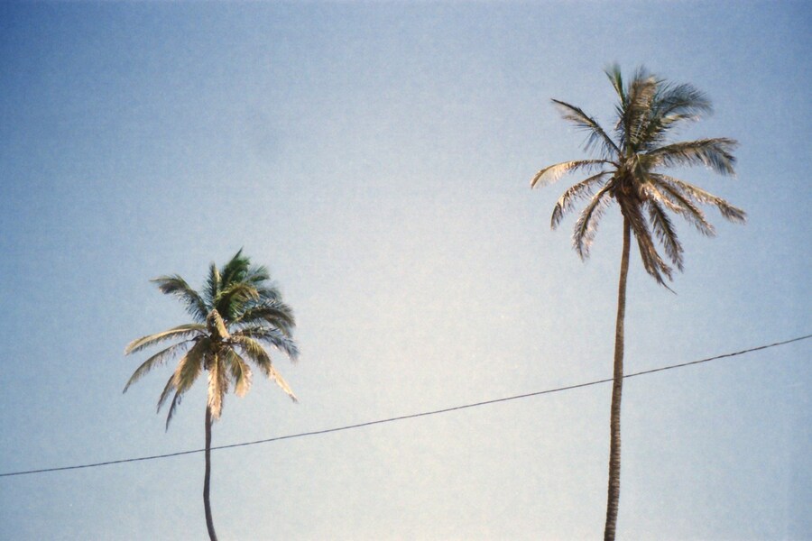 Senegal by Sonia D'Argenzio