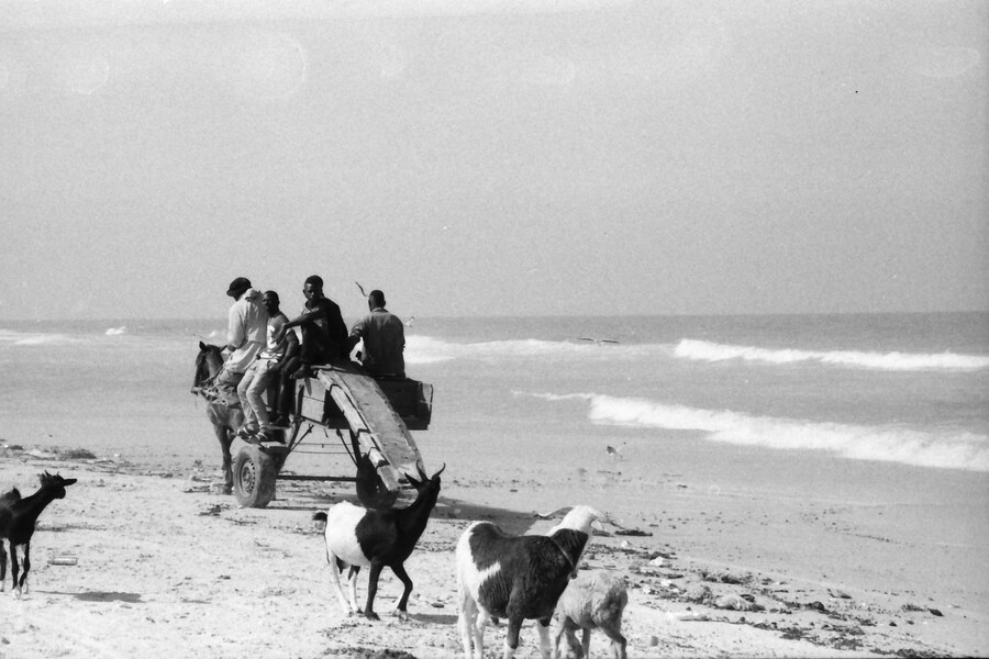 Senegal by Sonia D'Argenzio