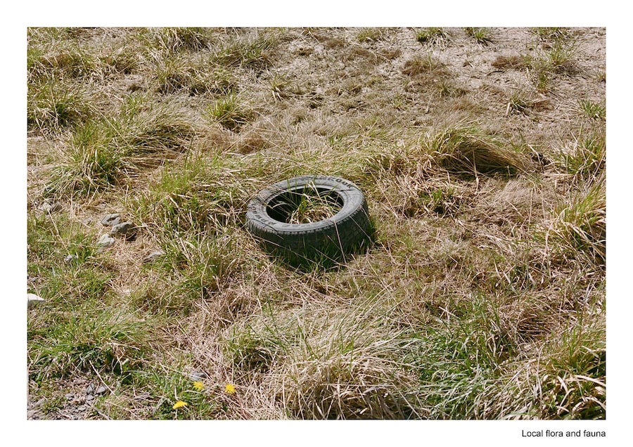 travel pollybrown column6