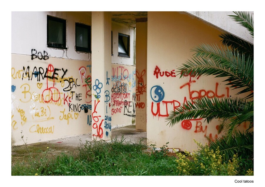 travel pollybrown column9