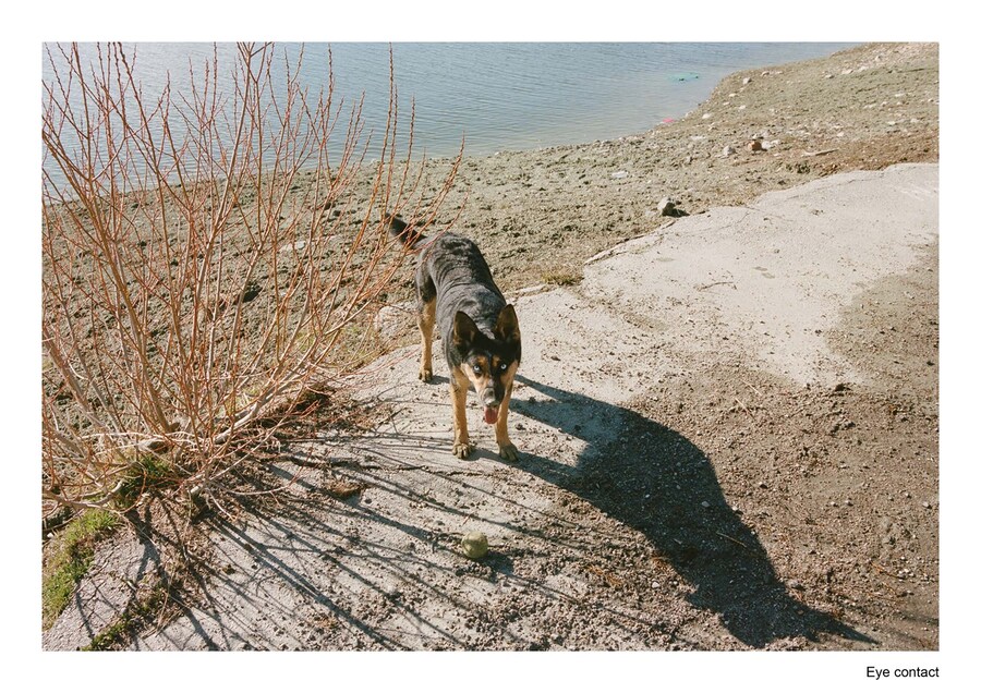 travel pollybrown column10