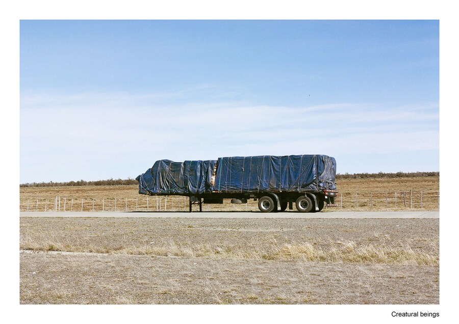 travel pollybrown column11