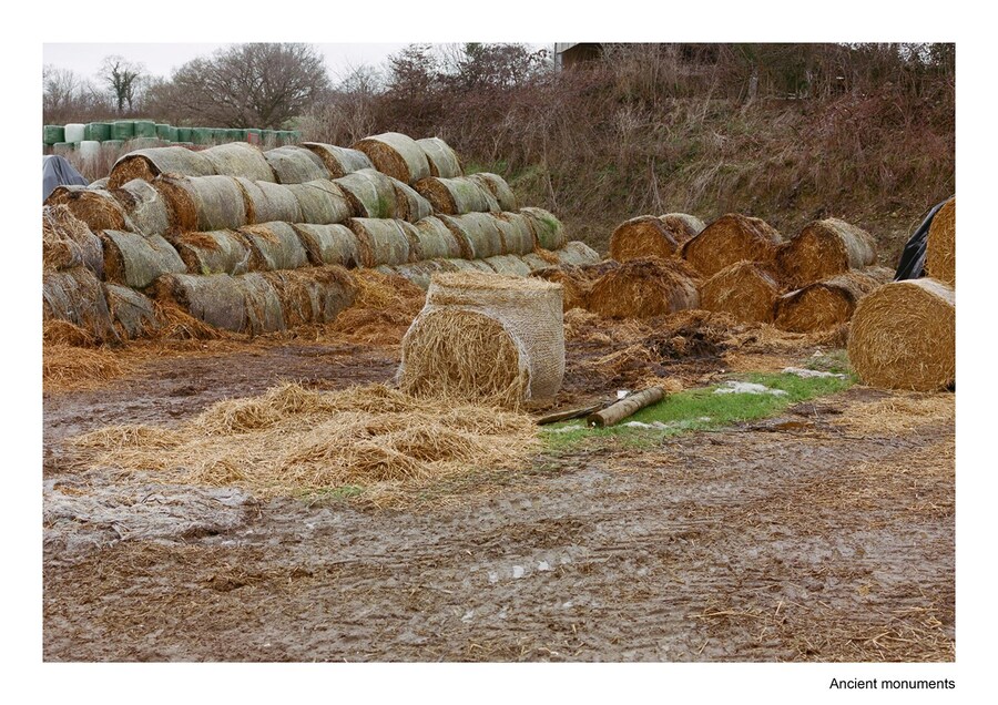 travel pollybrown column14