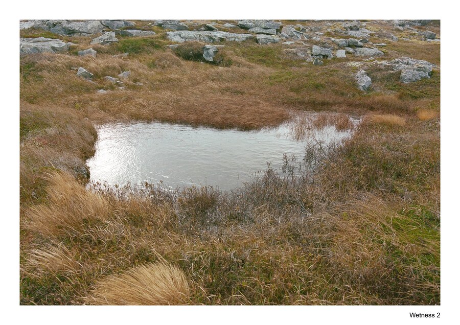 travel pollybrown column15