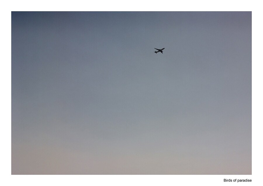 travel pollybrown column17