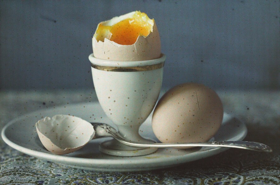 Feast for the Eyes-03