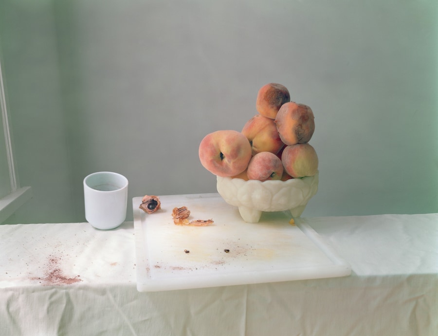 Feast for the Eyes-17