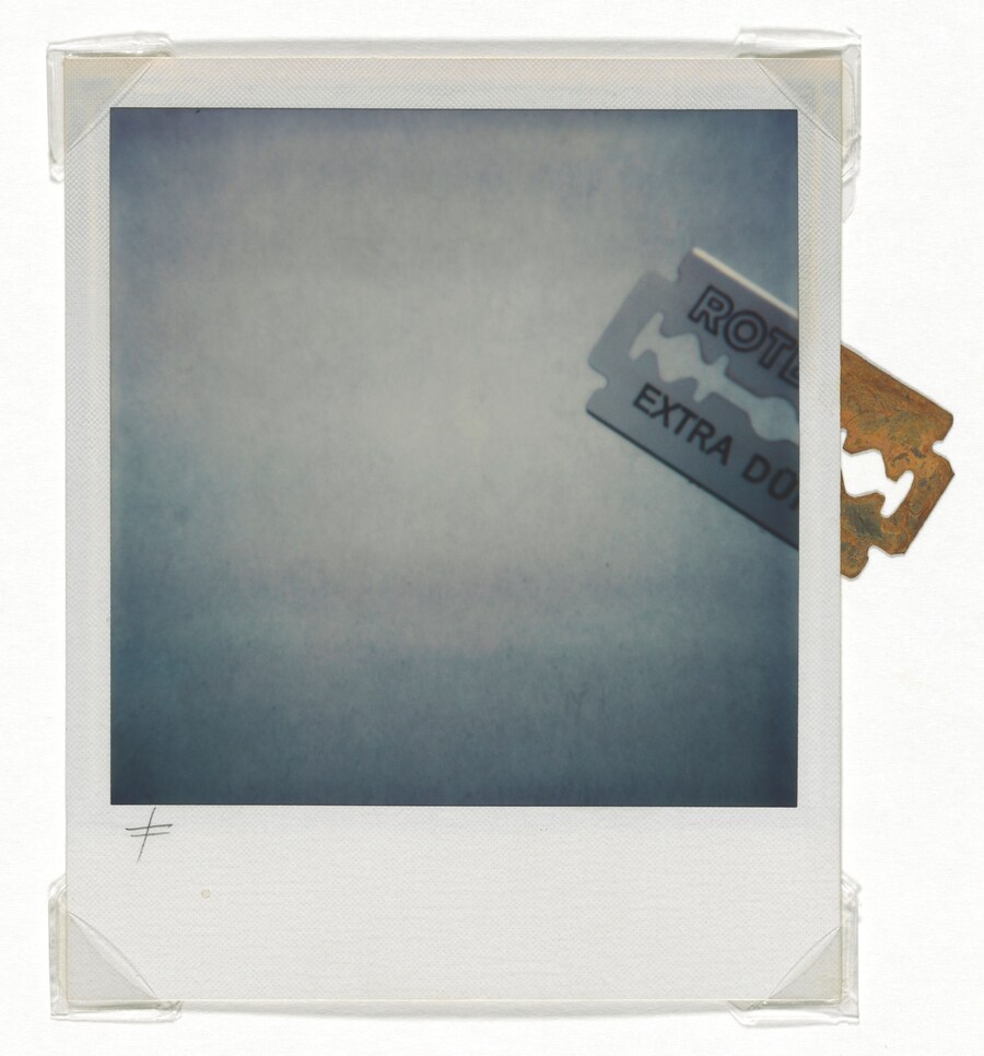 Nitsch_1007