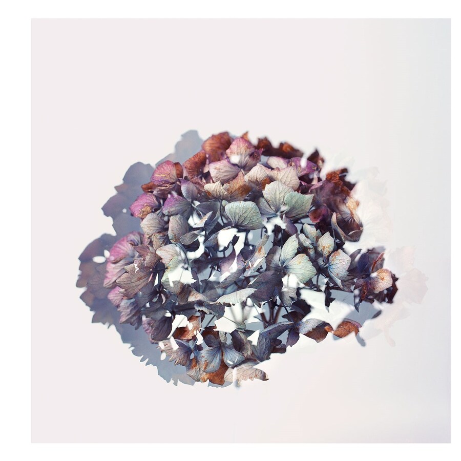 07_12-07b-steve-copy-without-stem