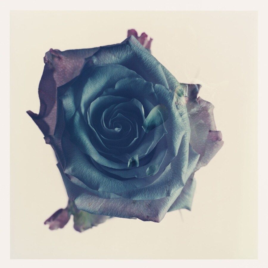 BOOK_STEVE.HARRIES_11.16_01