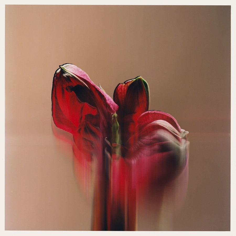 BOOK_STEVE.HARRIES_11.16_04