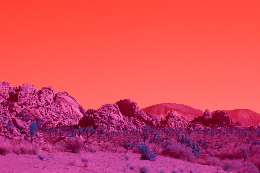 unnamed-4