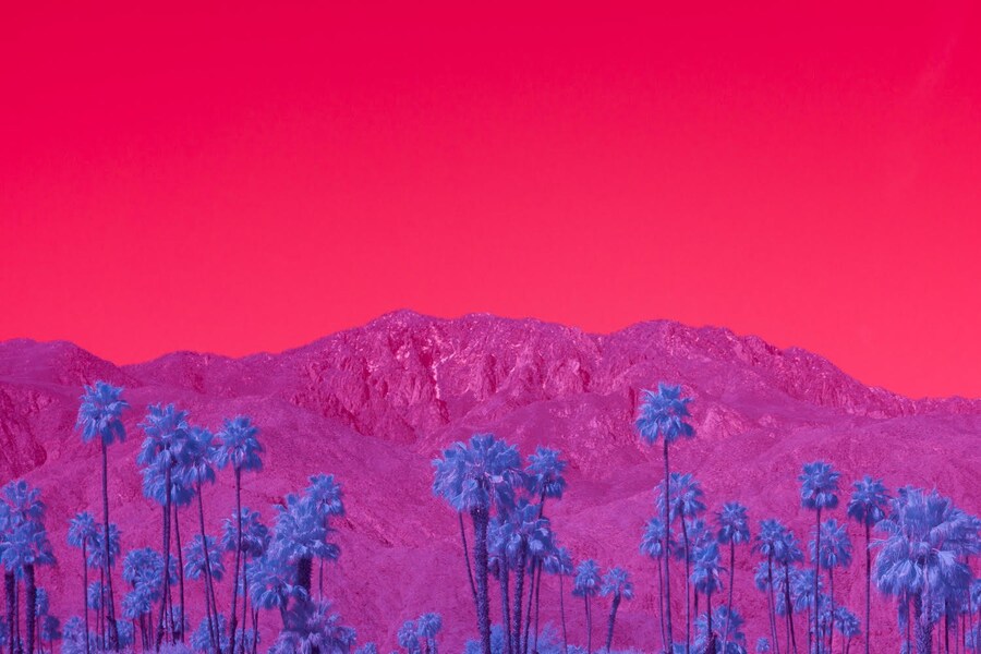 unnamed-6