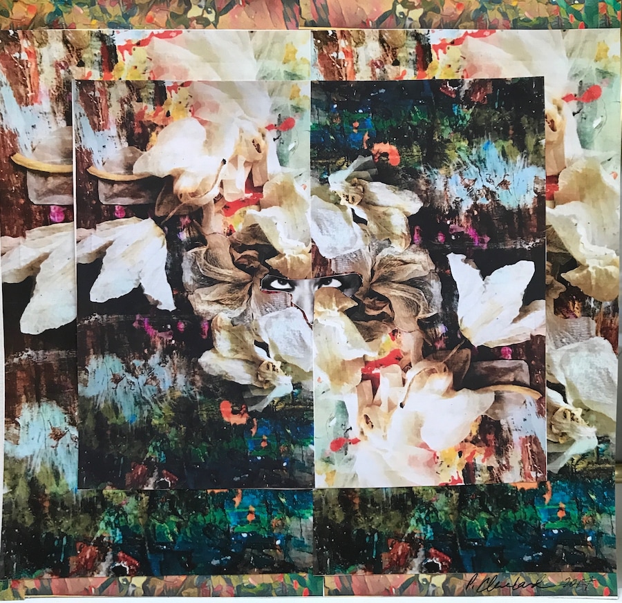 Pat Cleveland, Still Life MetaMorphosis (2017), Pa