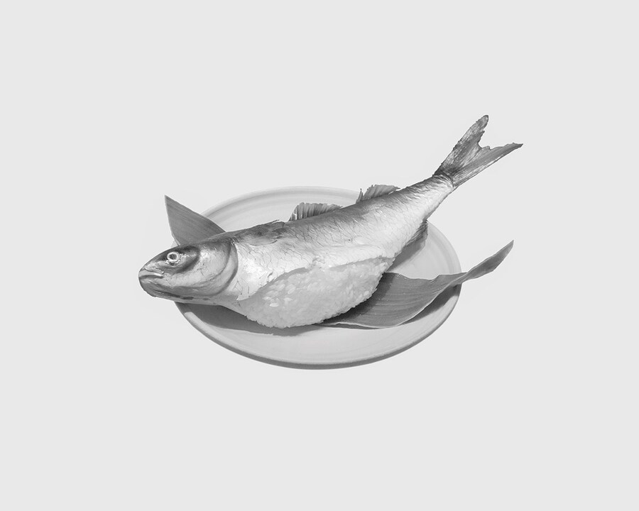 Rowing a Tetrapod_10