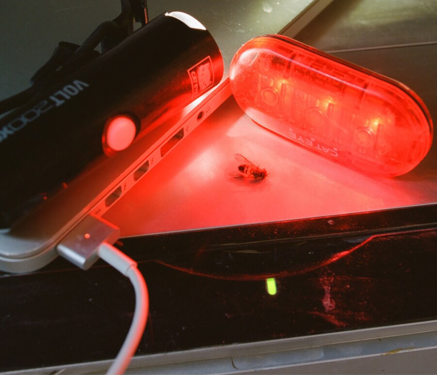 10_Butterfly Lighting_YouDoVoodoo PollyBrown