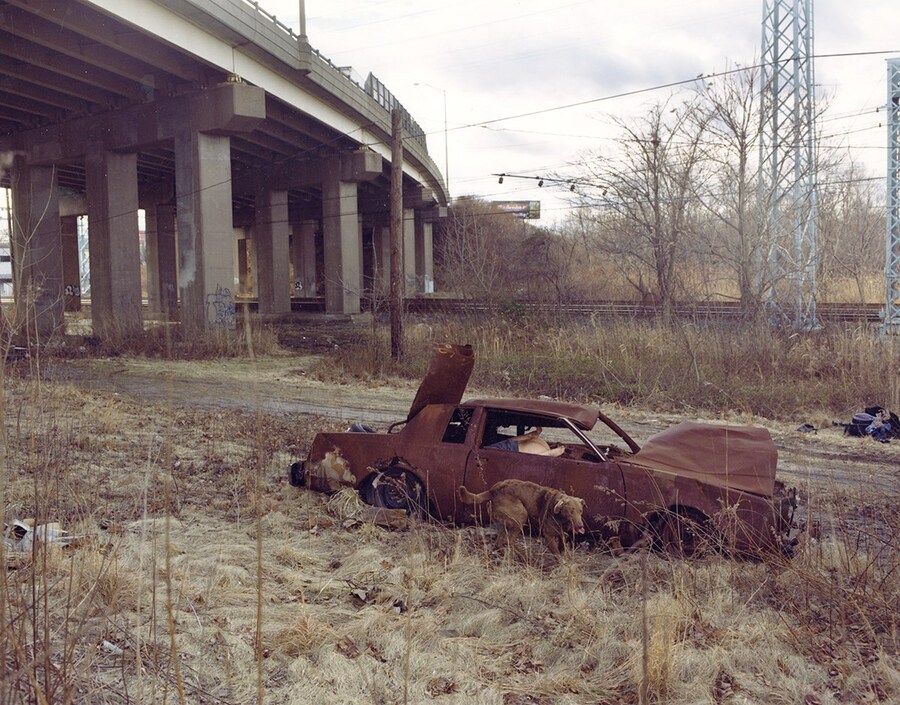 Kurland_Making-Happy (1)