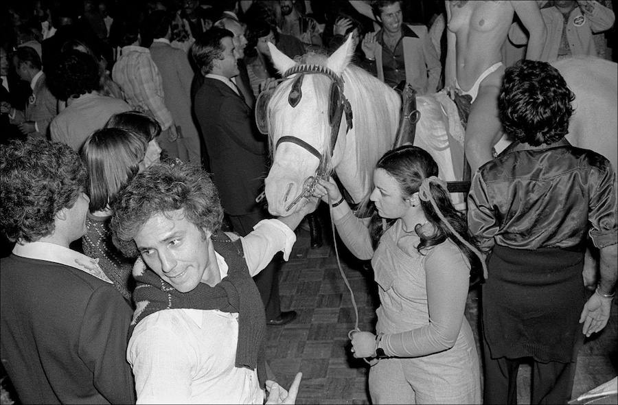 ALAN4089_MAS_S54_Purple_Party_Ian_Horse_1760-22