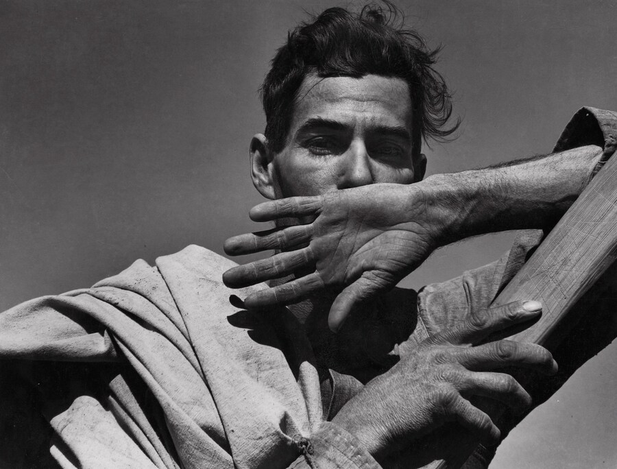 3. Dorothea Lange, Migratory Cotton Picker, Eloy, 