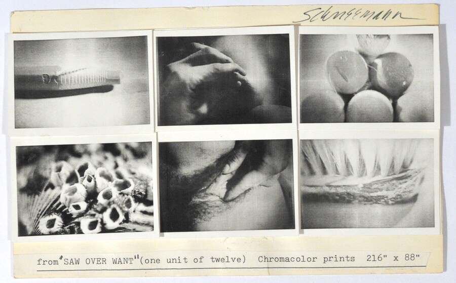 Schneeman, Saw over Want