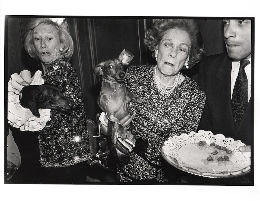 02_Dachshunds fighting over canapes, Barbetta, New