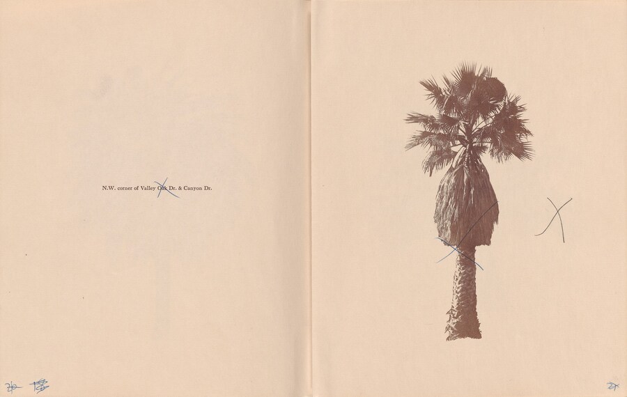 ART_RuschaE_Palm_Trees_dummy_page_26_27_001_300dpi