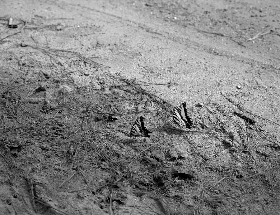 11 &#169; Mark Steinmetz