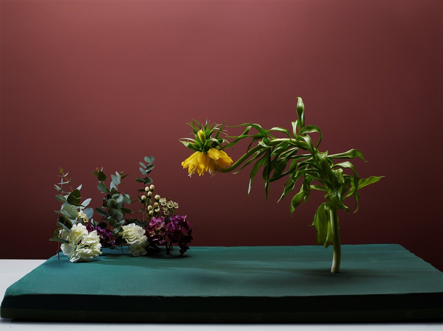 Metz+Racine_Hana_al_Sayed_01