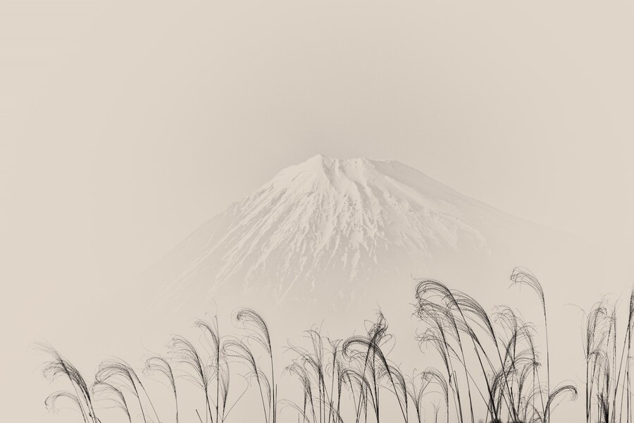 #754