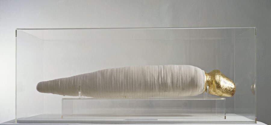11. Renate Bertlmann_Corpus Impudicum Arte Domitum