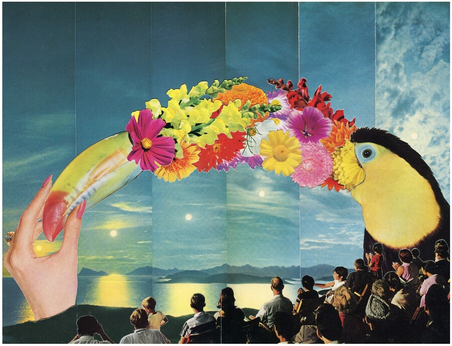 Toucan 2013