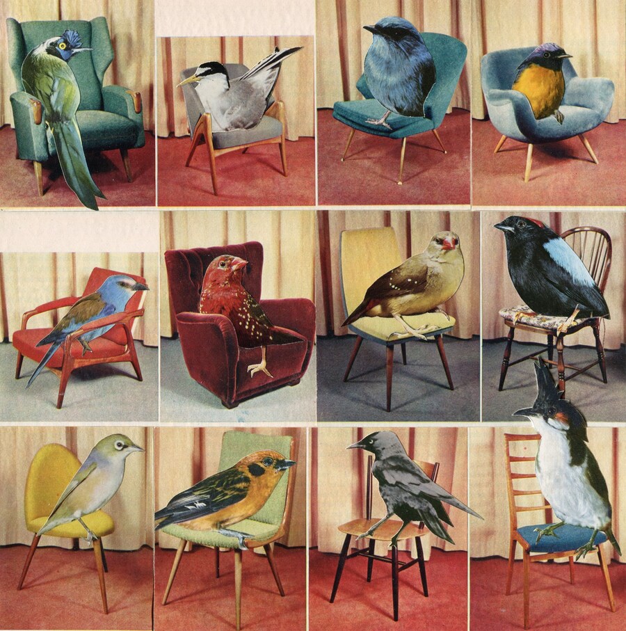 Seated Birds 2019