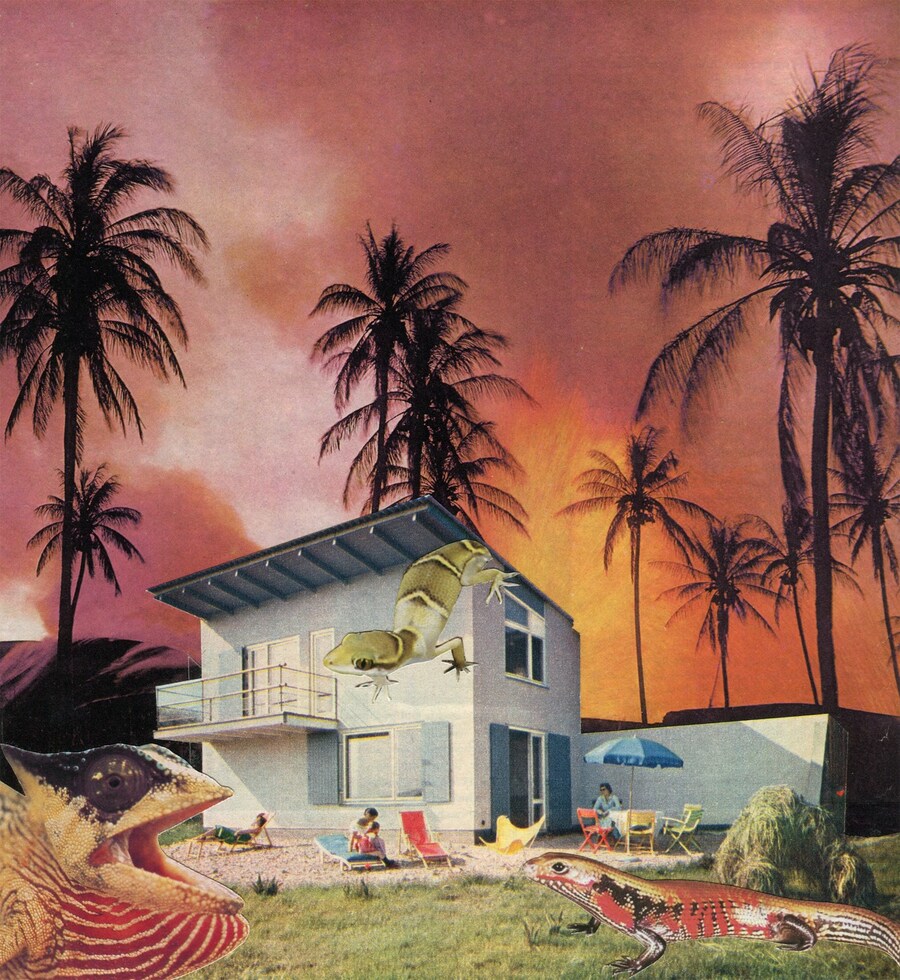Earth Heat (Geko House) 2019