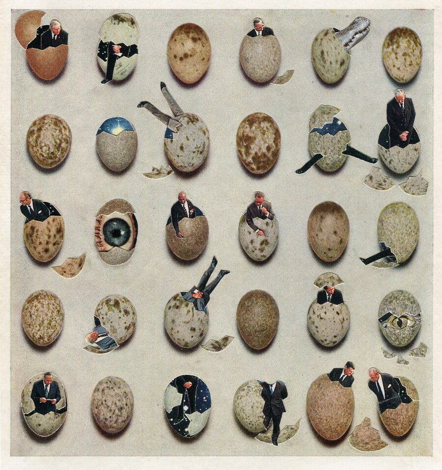 Bad Eggs 2019