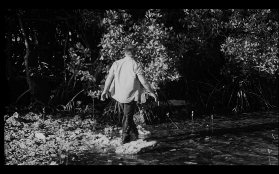 04_THE NEST OF THE CUCKOO BIRDS