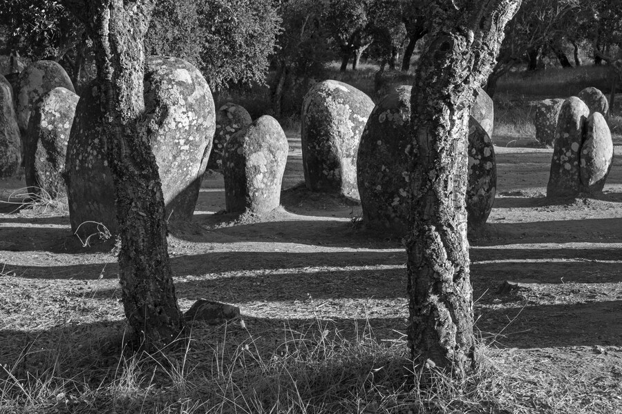 Analogies Stuart Franklin Hatje Cantz