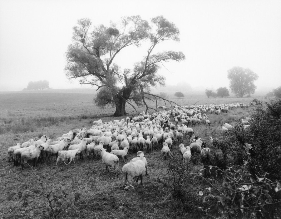 Jamie Hawkesworth A Short Pleasurable Journey Part Two 