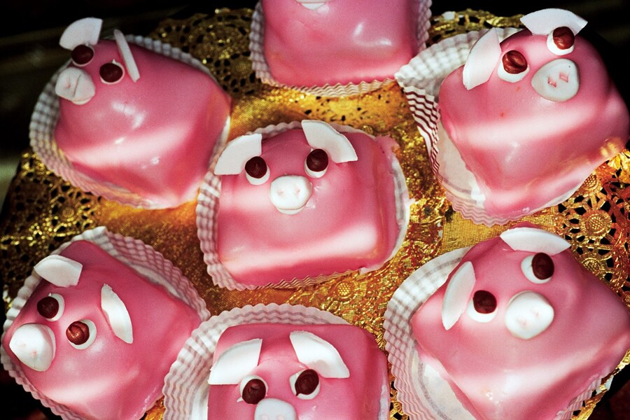 05_feast_for_the_eyes-14