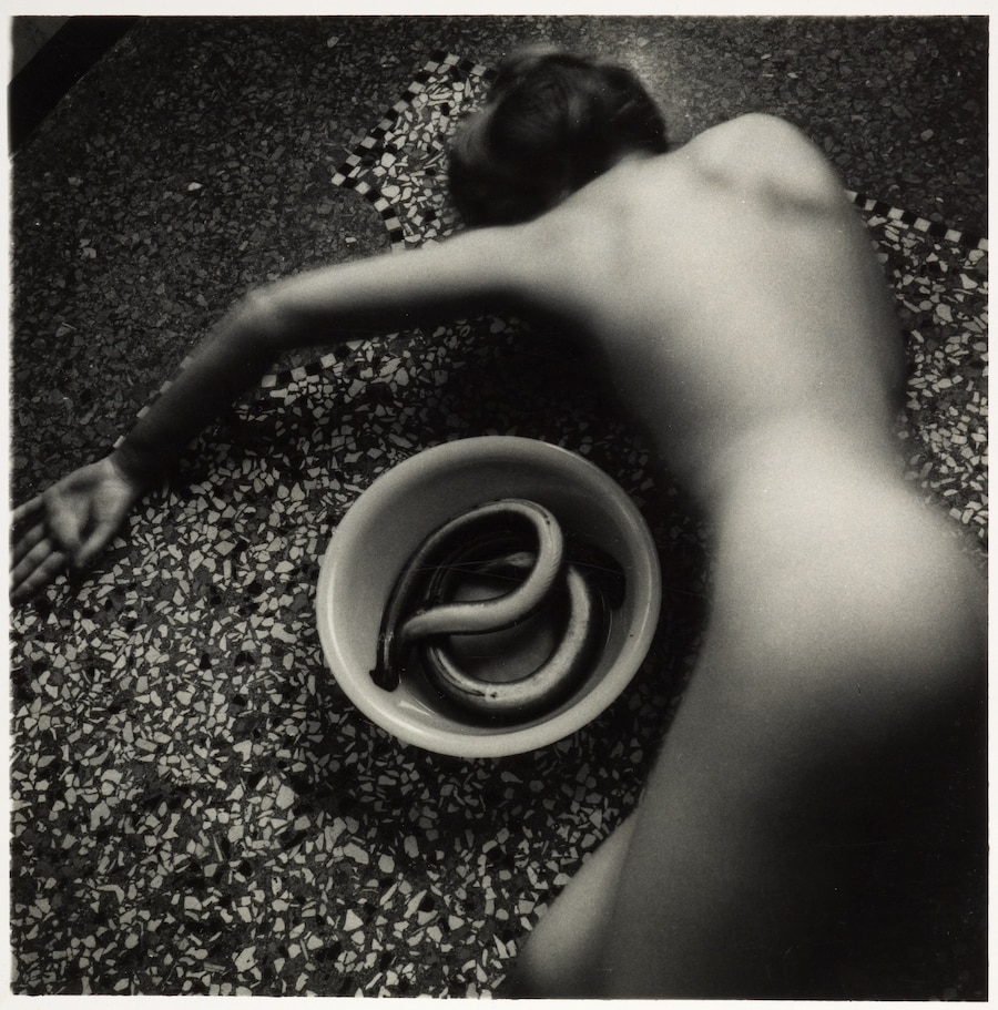 Francesca Woodman Eel Series 1977-8 Artist Rooms 
