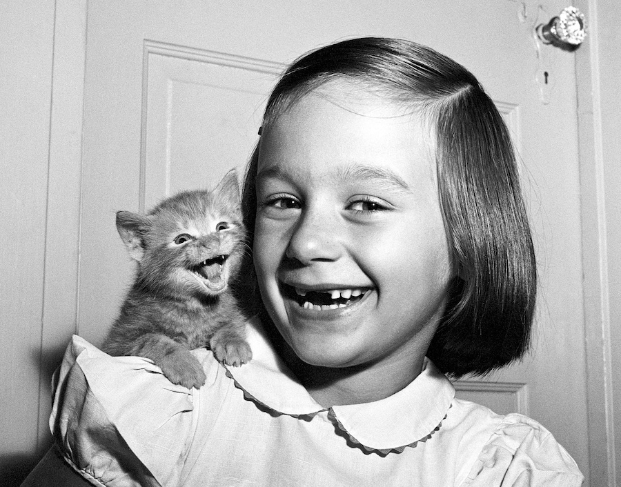 Walter Chandoha Cats Taschen Photography Book 2019 high res