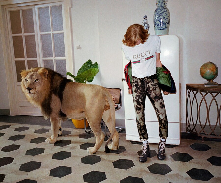 Miu Miu Givenchy Gucci Stella McCartney Cats in Fashion