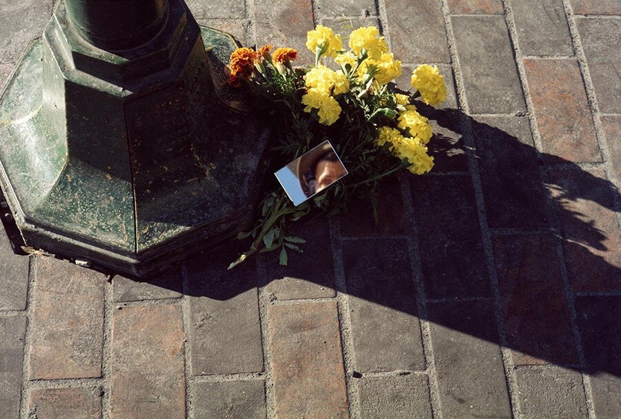 low Self-Portrait, Chicagoland, October 1975 by Vi
