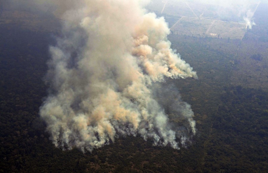 Amazon rainforest fire Porto Velho state Rondonia Brazil