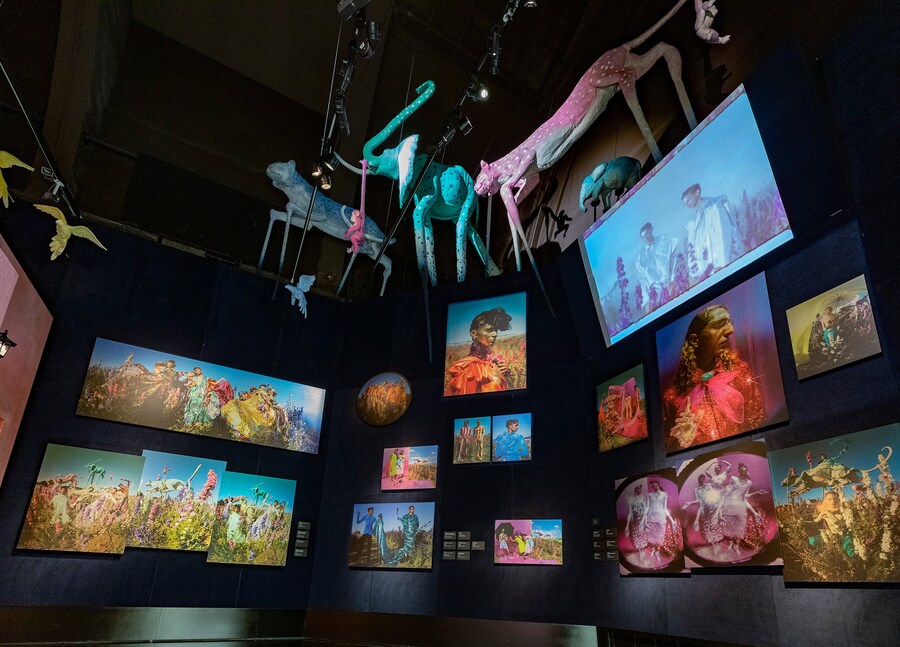 V&amp;A-Tim-Walker-Wonderful-Things-Exhibition-Install