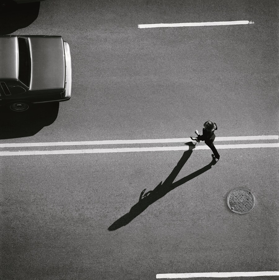 Nathaniel Goldberg Damiani